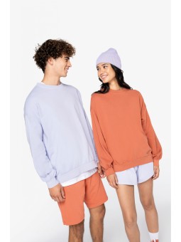 NS415 - Ecologische...