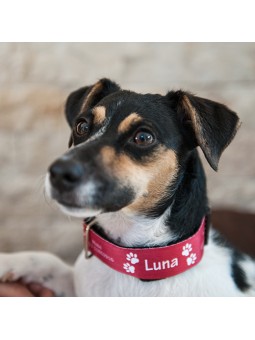 Halsband hond 44-58 cm