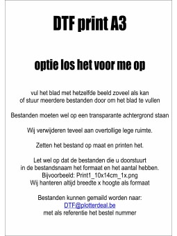 A3 DTF met nakijken bestand...